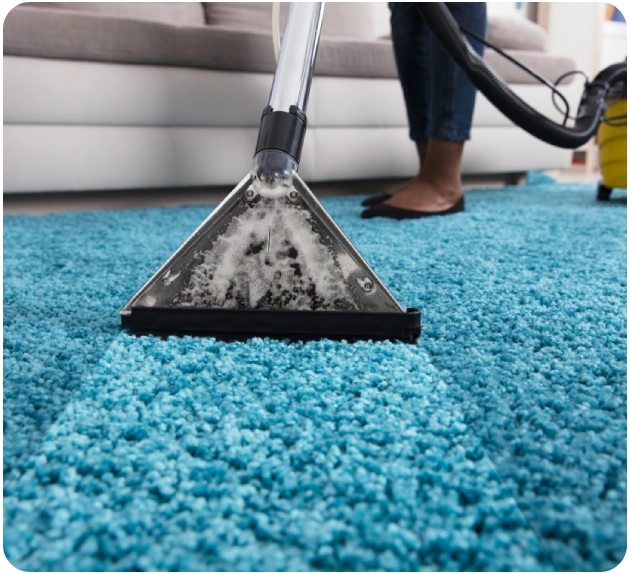 Carpet Cleaning Process
