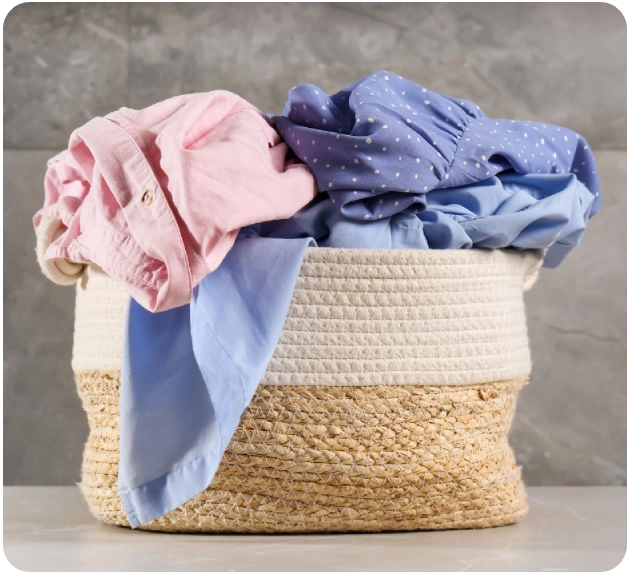 Laundry by Kilo Process